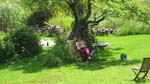 park_sounds